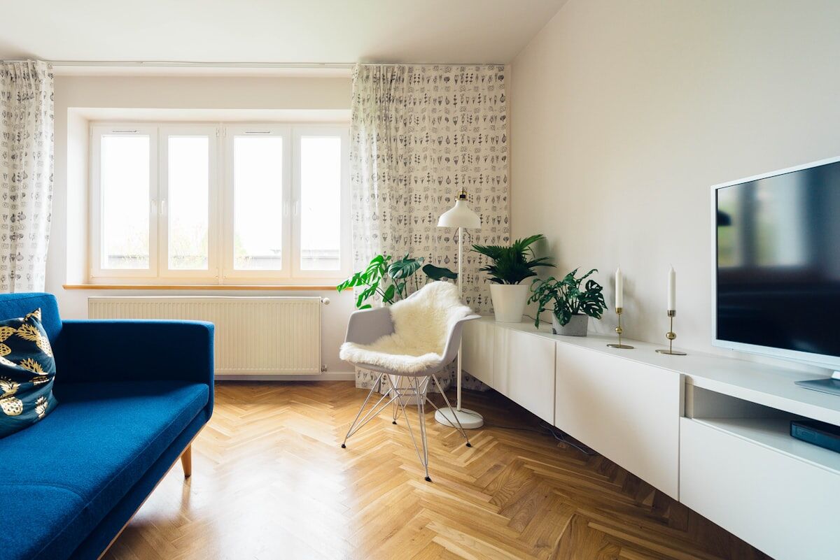 Bright living room with a blue velvet sofa and warm wood floors